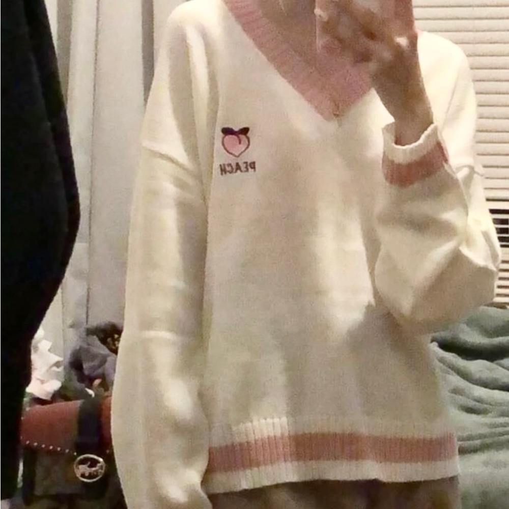 embroidered peach v neck sweater